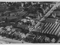 Ansichtkaart van de N.V. Drachtster Stoomtimmerfabriek en Houthandel vh A. K. v.d. Veen