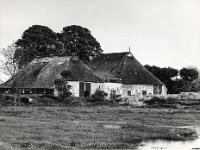 boerderij van Pieter Postma ongeveer tegenover Zuiderbegraafplaats 1960