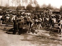 veemarkt 1930 (3)