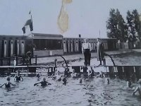 Het oude zwembad (3)