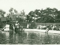 Het oude zwembad (6)
